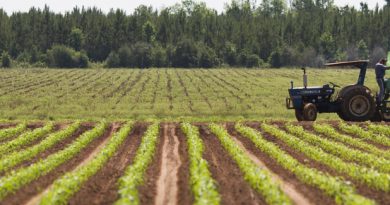 A man checks fertilizer levels on a tractor on a farm.  Farm equipment, fertilization, agriculture, food crops.  UF/IFAS Photo by Tyler Jones.